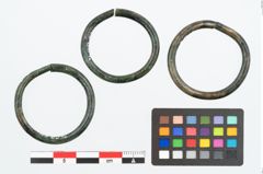 Foto von Bronzering (NHMW-PRAE-025834)